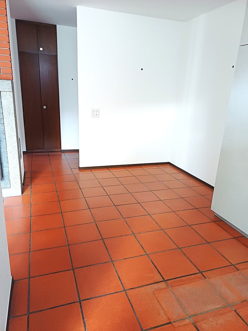 Spazioso appartamento di 4.5 locali a Carasso-Bellinzona (6)