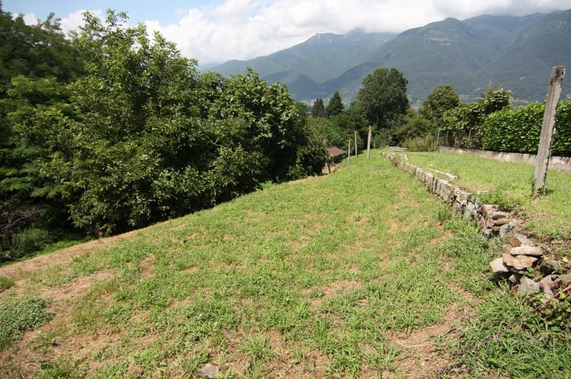 Buildable land Cadenazzo (4)