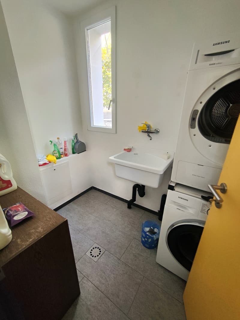 Apartment 3 ½ rooms, 1st Floor, residential area Lumino (8)