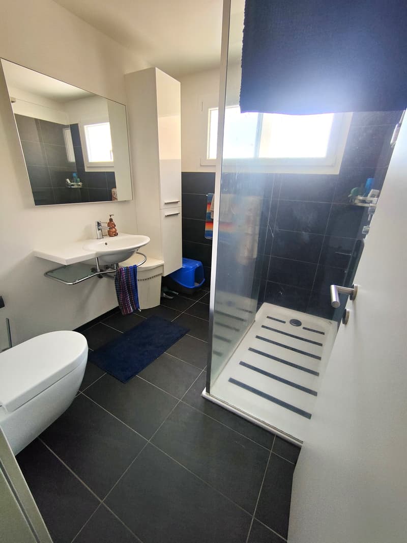 Apartment 3 ½ rooms, 1st Floor, residential area Lumino (7)