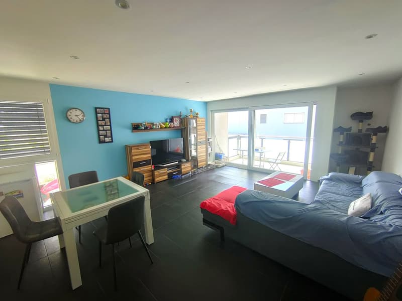 Apartment 3 ½ rooms, 1st Floor, residential area Lumino (5)
