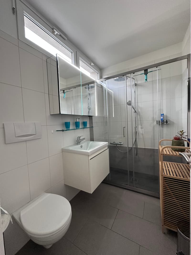 modern bathroom, glass shower enclosure, silver shower head, white sink, white toilet, white tile walls