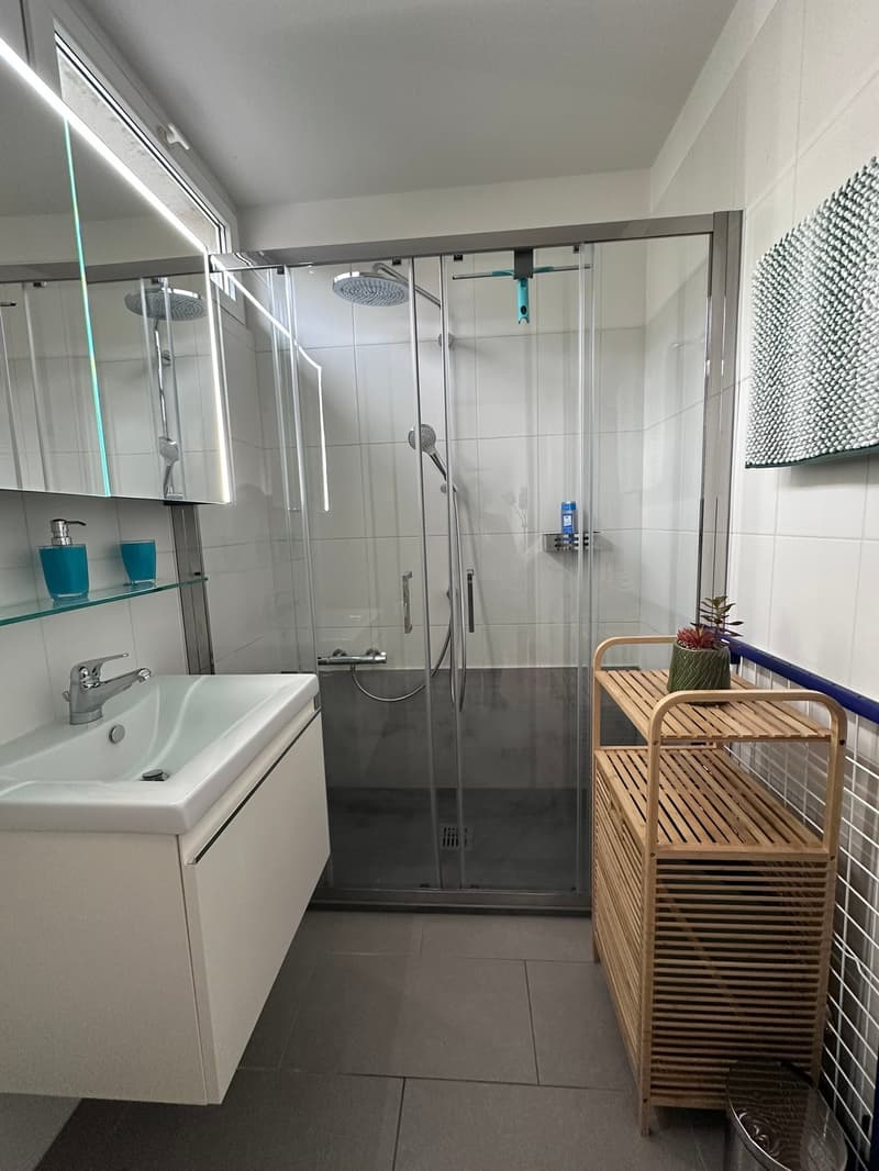 The bathroom has a glass shower, sink with a faucet, tiled floor, white wall, wooden shelf with a plant on it, wall-mounted showerhead, and toiletries.