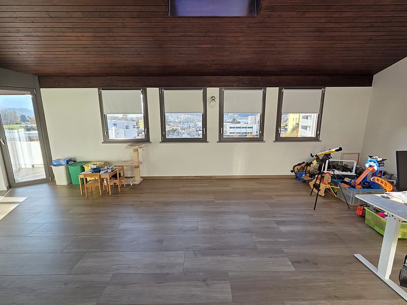 Splendid 5.5-room attic with pool in Arbedo-Castione (21)