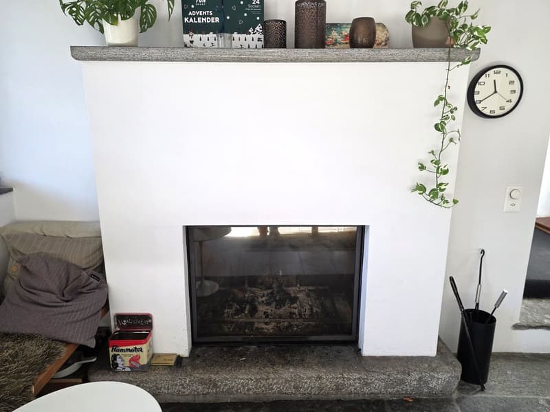 White fireplace, fireplace with closed glass door, shelves with plants and decorative items