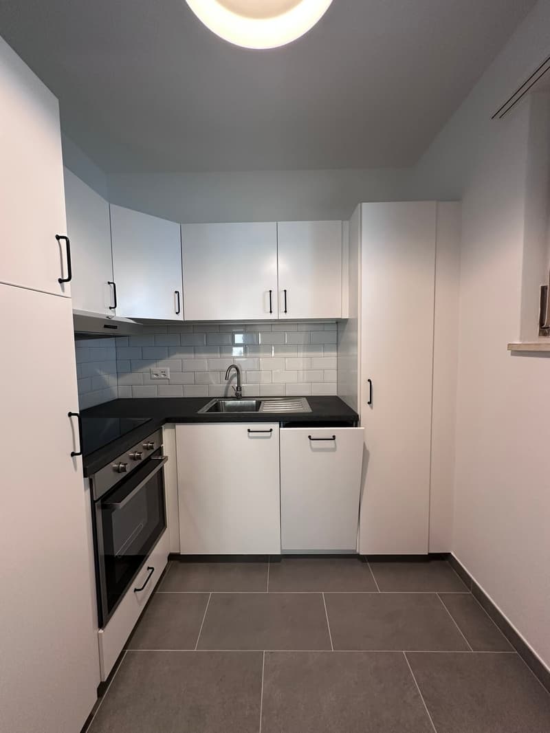 modern kitchen with white cabinets, black countertops, stainless steel sink, oven, dishwasher, and a ceiling light
