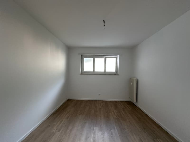3.5 rooms completely renovated in Tenero (8)