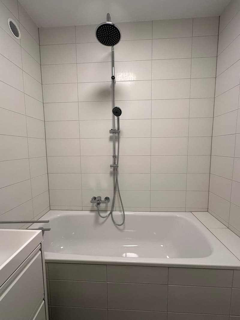 3.5 rooms completely renovated in Tenero (12)