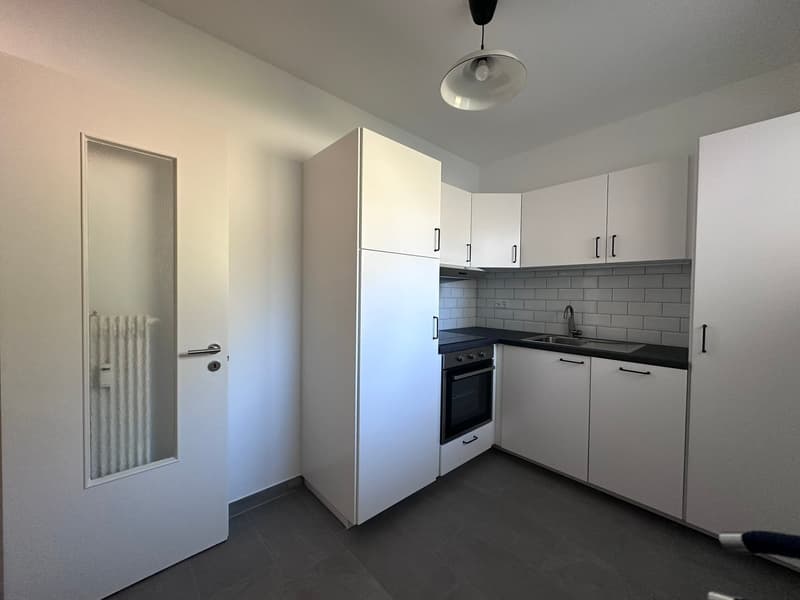 3.5 rooms completely renovated in Tenero (6)