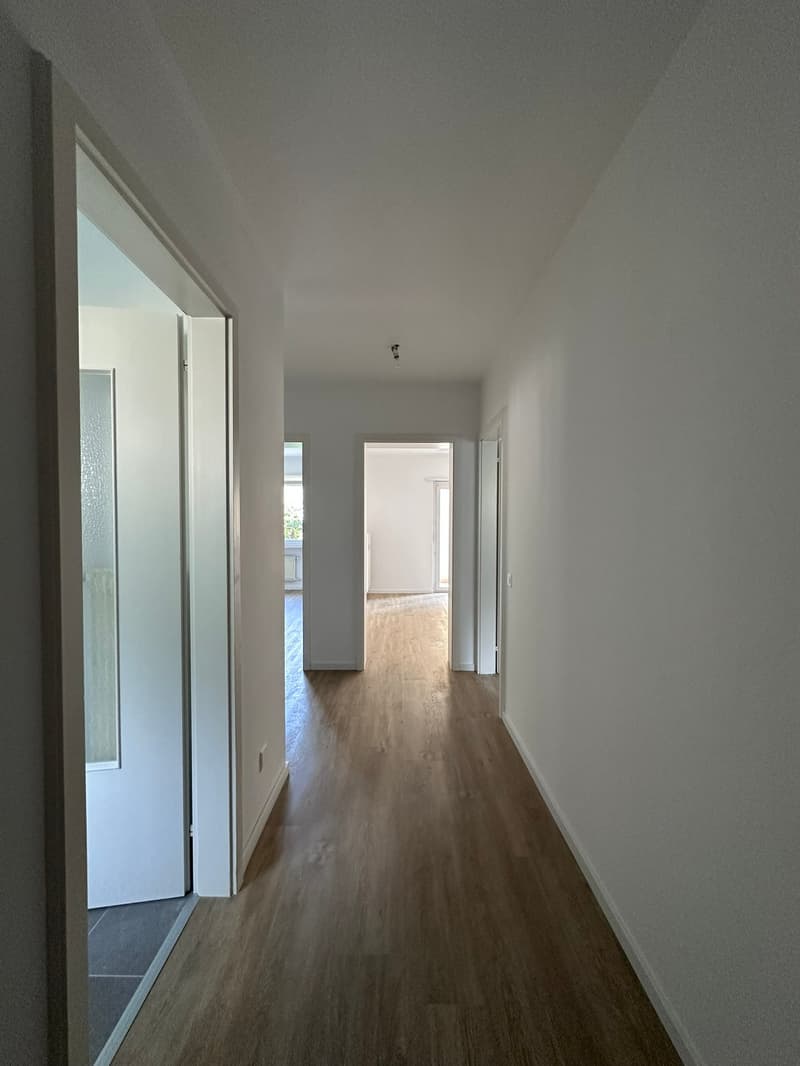3.5 rooms completely renovated in Tenero (5)