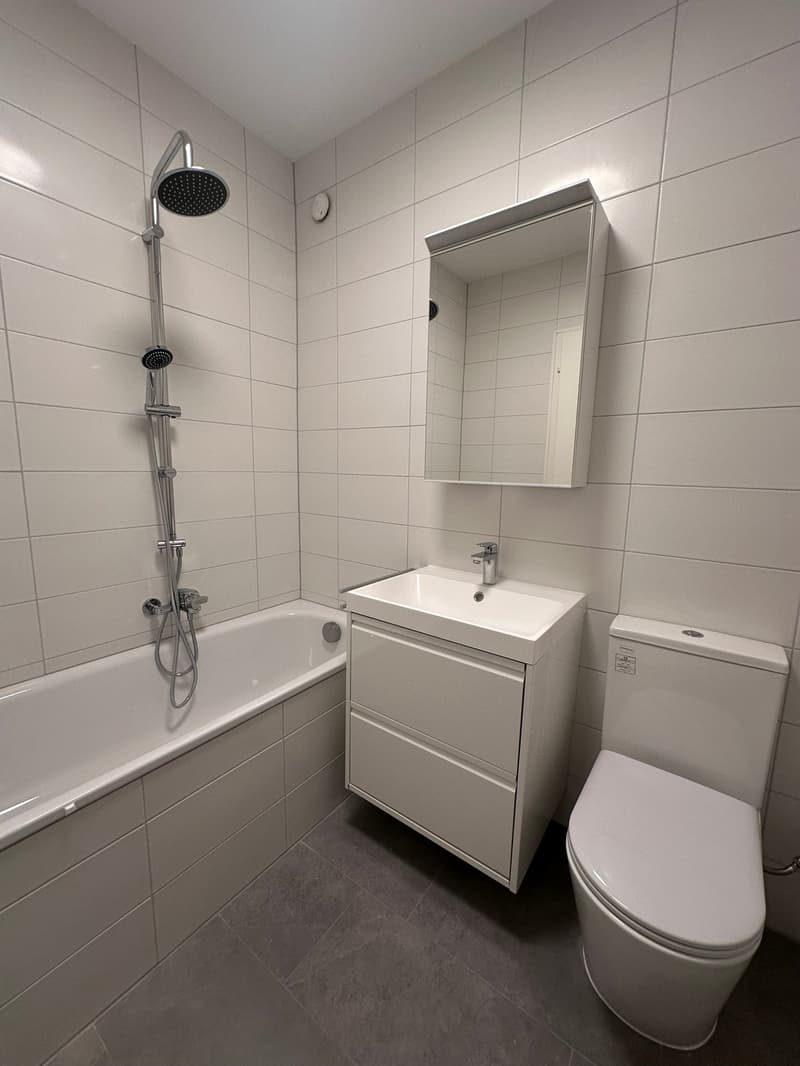 3.5 rooms completely renovated in Tenero (11)
