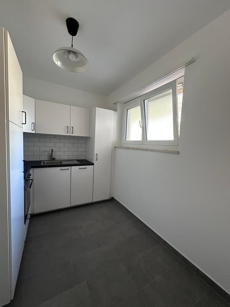 3.5 rooms completely renovated in Tenero (7)