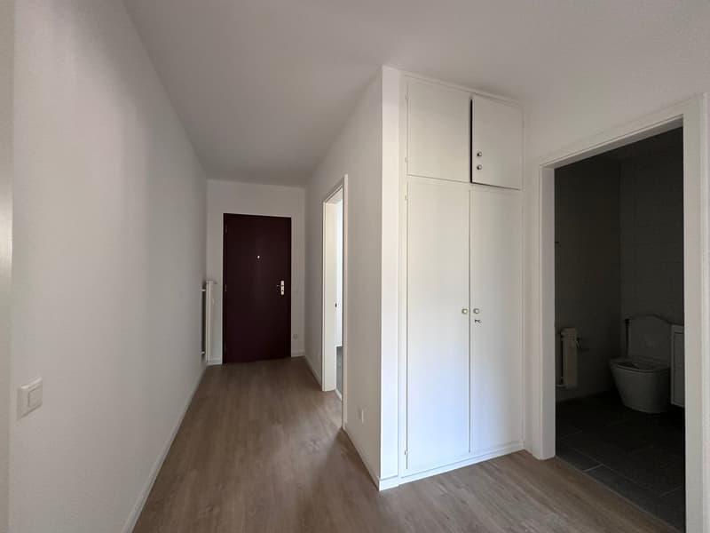 3.5 rooms completely renovated in Tenero (4)