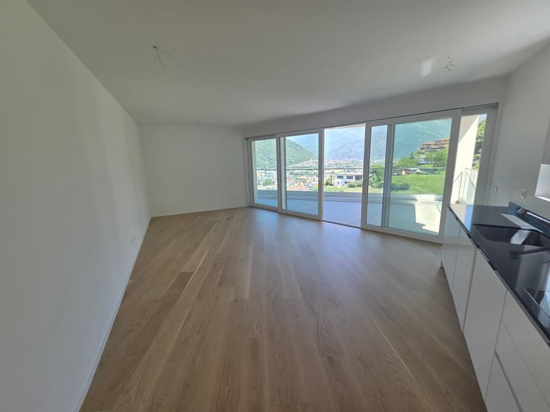 Helles 4-Zimmer-Apartment mit Panoramablick in Bellinzona (4)