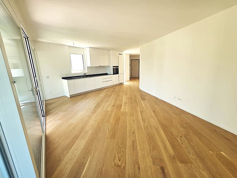 Helles 4-Zimmer-Apartment mit Panoramablick in Bellinzona (2)