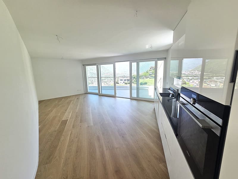 Helles 4-Zimmer-Apartment mit Panoramablick in Bellinzona (14)
