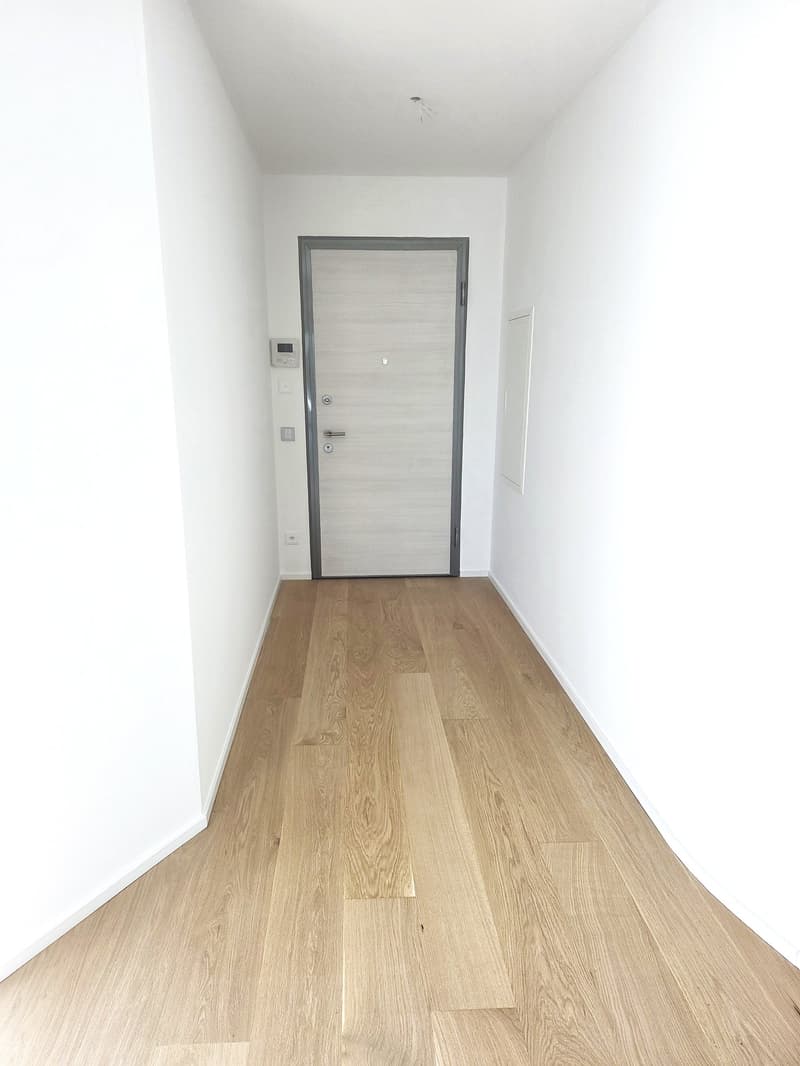 Helles 4-Zimmer-Apartment mit Panoramablick in Bellinzona (7)