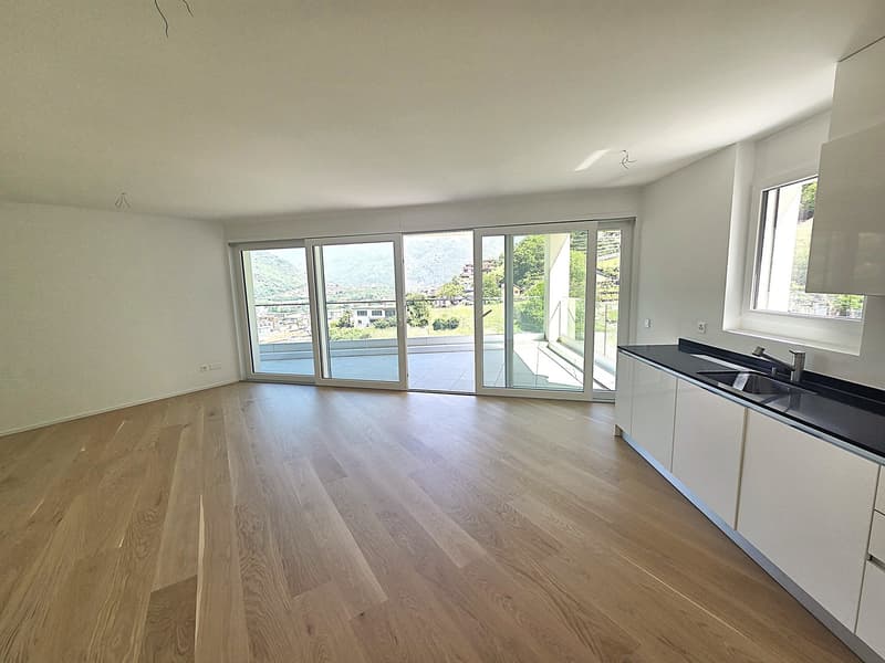 Helles 4-Zimmer-Apartment mit Panoramablick in Bellinzona (6)