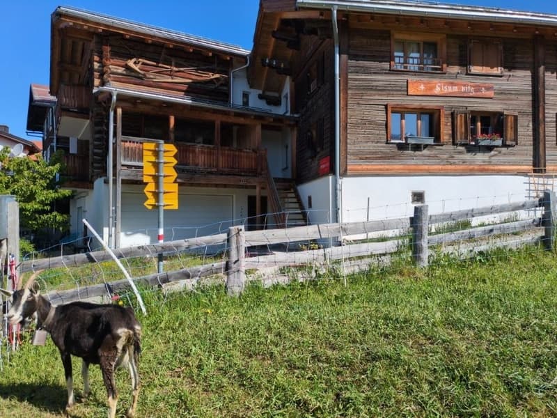 Appartamento in villaggio vacanze idilliaco Feldis/Veulden (1)