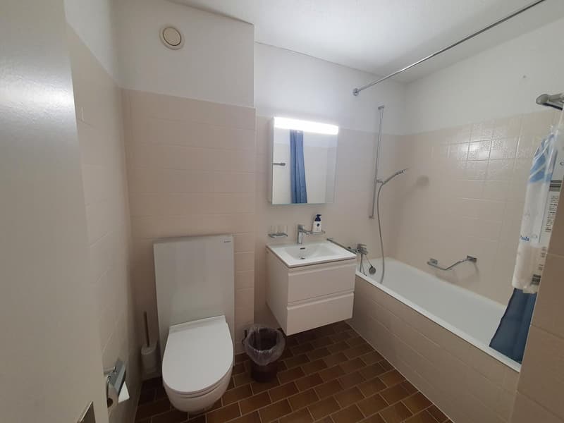 Furnished studio for rent in Parpan (4)