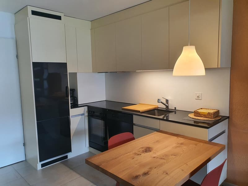 Furnished studio for rent in Parpan (5)