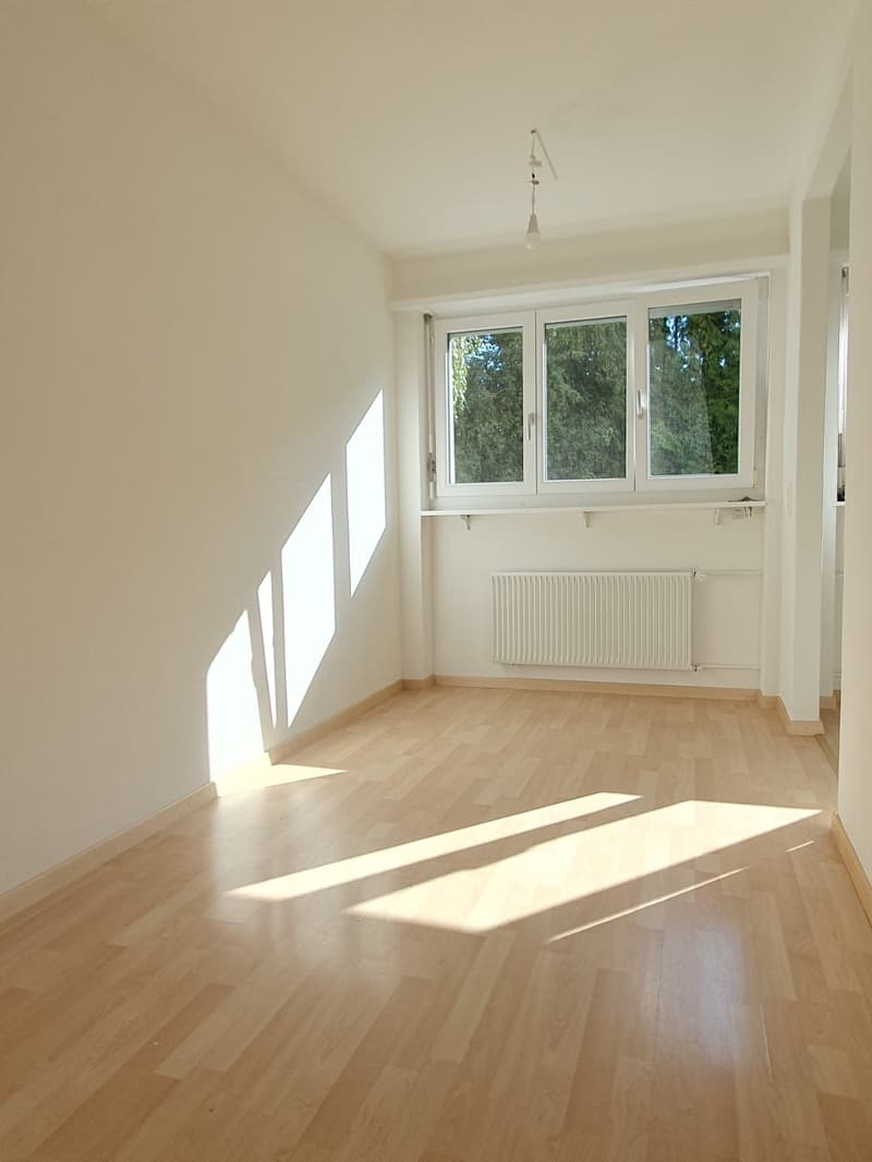 3.5-Zimmerwohnung an sonniger Lage (4)