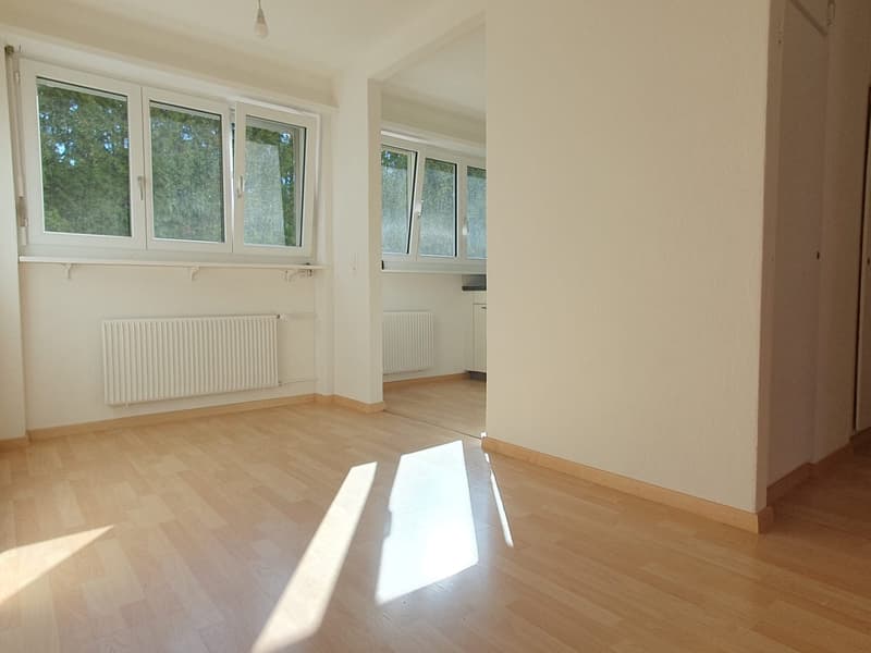 3.5-Zimmerwohnung an sonniger Lage (5)