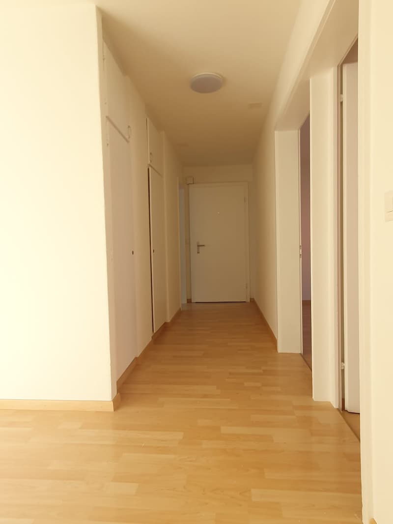 3.5-Zimmerwohnung an sonniger Lage (2)