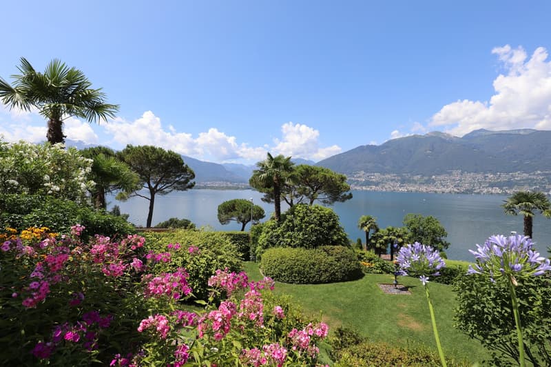 Lush, well-manicured garden with palm trees, pine trees, and colorful flowers overlooking a scenic lake surrounded by mountains. The landscape features a tranquil and picturesque setting with a beautiful view of the lake and the distant mountains.