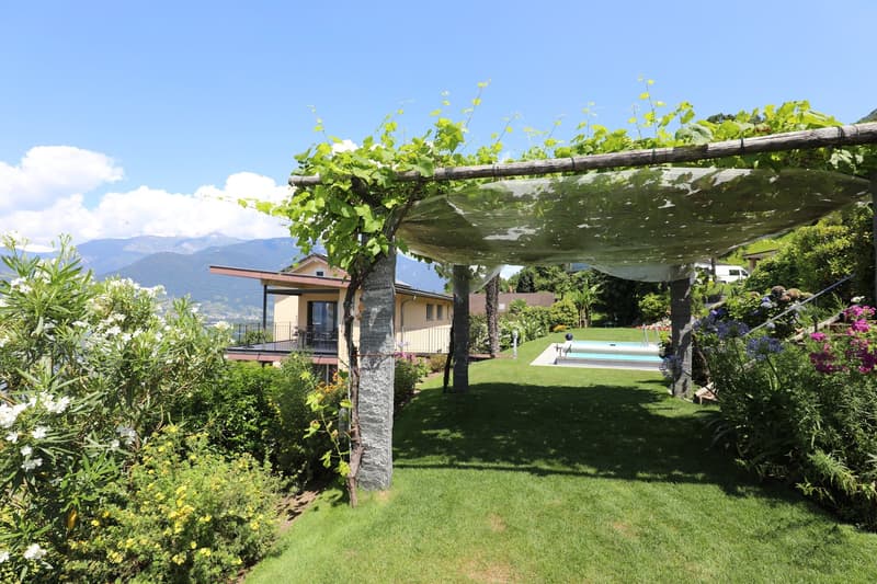 Two-story house with a swimming pool in the backyard, surrounded by a lush garden with a pergola covered in grape vines and other greenery.