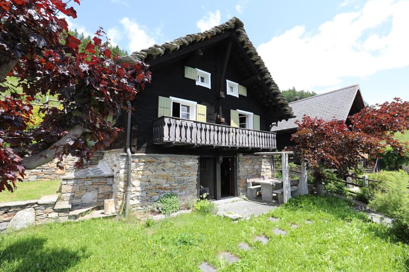 Bergidylle pur - rustikales Ferienhaus in der schönen Leventina mit herrlicher Weitsicht (4)
