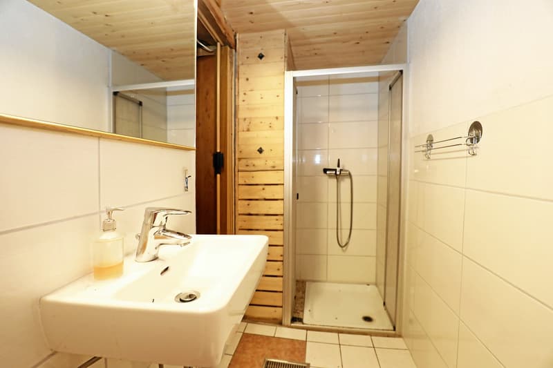 Bergidylle pur - rustikales Ferienhaus in der schönen Leventina mit herrlicher Weitsicht (14)