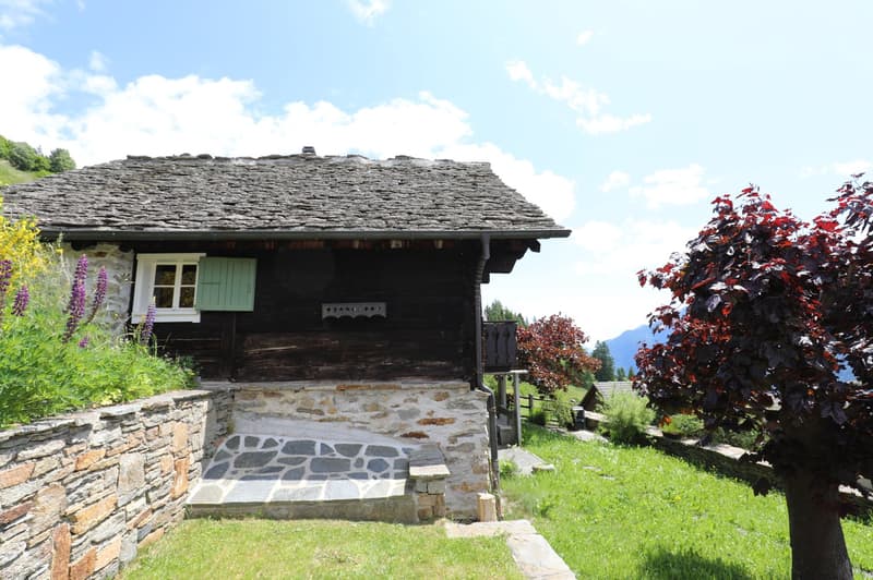Bergidylle pur - rustikales Ferienhaus in der schönen Leventina mit herrlicher Weitsicht (16)
