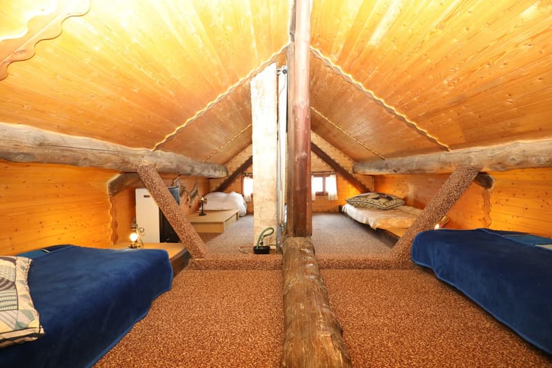 Bergidylle pur - rustikales Ferienhaus in der schönen Leventina mit herrlicher Weitsicht (13)