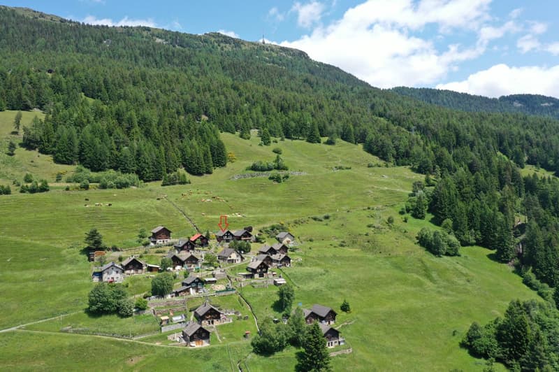 Bergidylle pur - rustikales Ferienhaus in der schönen Leventina mit herrlicher Weitsicht (3)