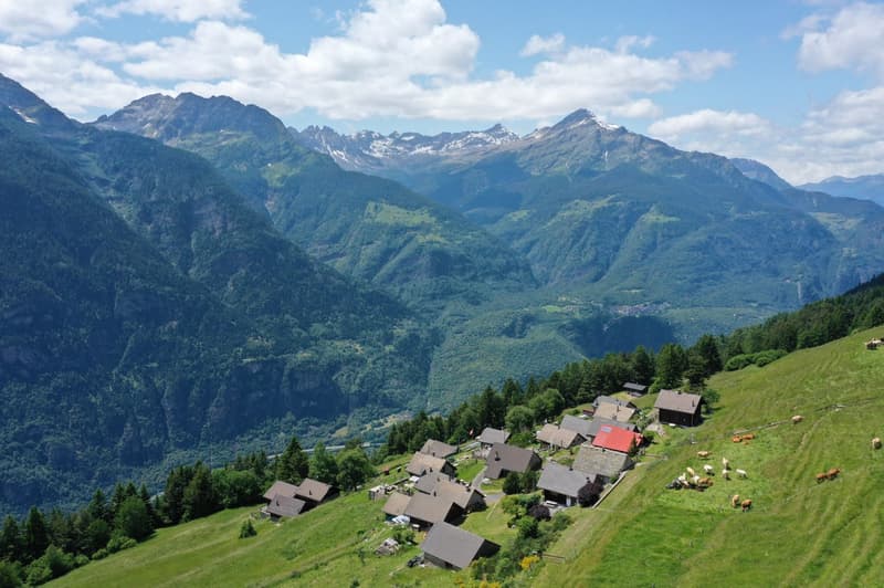 Bergidylle pur - rustikales Ferienhaus in der schönen Leventina mit herrlicher Weitsicht (2)