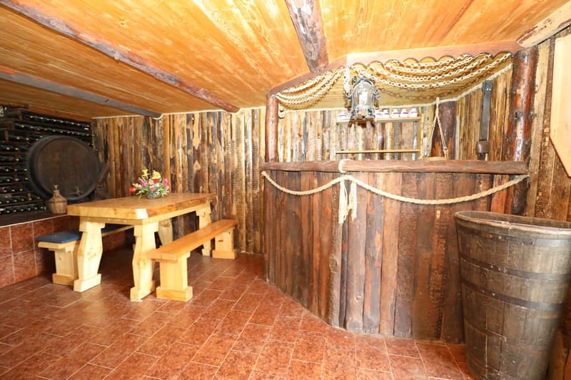 Bergidylle pur - rustikales Ferienhaus in der schönen Leventina mit herrlicher Weitsicht (15)
