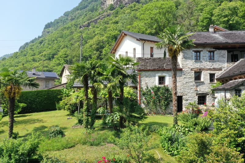 Two-story stone and wood houses with tiled roofs, surrounded by lush greenery including palm trees and other vegetation. The houses are set in a scenic mountainous landscape with a grassy yard in the foreground.