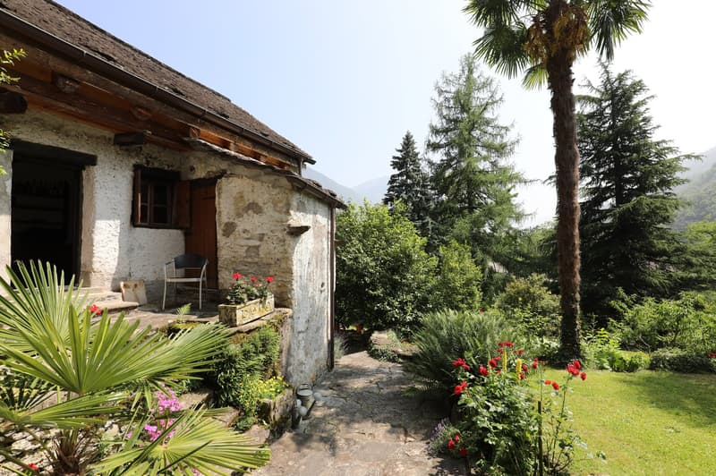 Old stone house with a tiled roof, surrounded by lush greenery including palm trees, fir trees, and various flowering plants. There is a small patio or balcony area in front of the house.