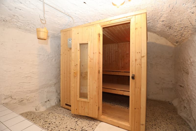 The image shows a wooden sauna cabin with a door and a window. The interior is made of wood panels and has shelves for seating. There is a light fixture hanging from the ceiling.