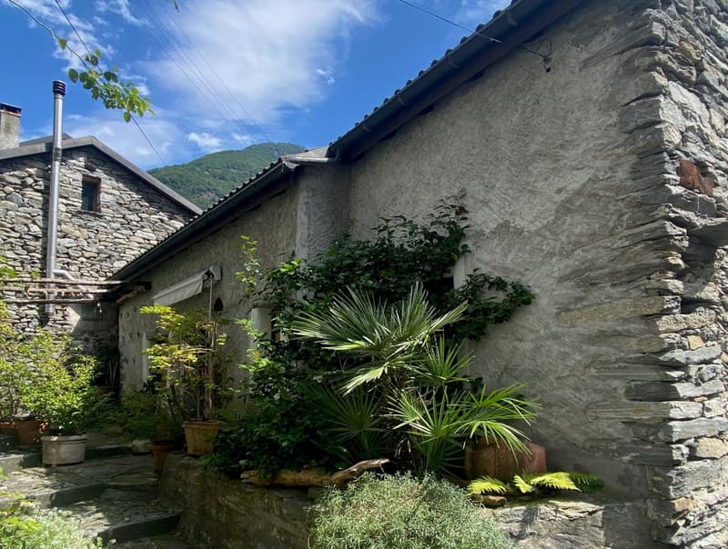 stone wall building, exterior garden with various potted plants, steps leading to entrance, sunny day, clear blue sky