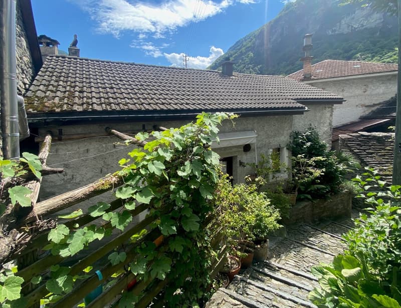 Stone house with a tiled roof, surrounded by plants and a stone pathway, with a mountain in the background