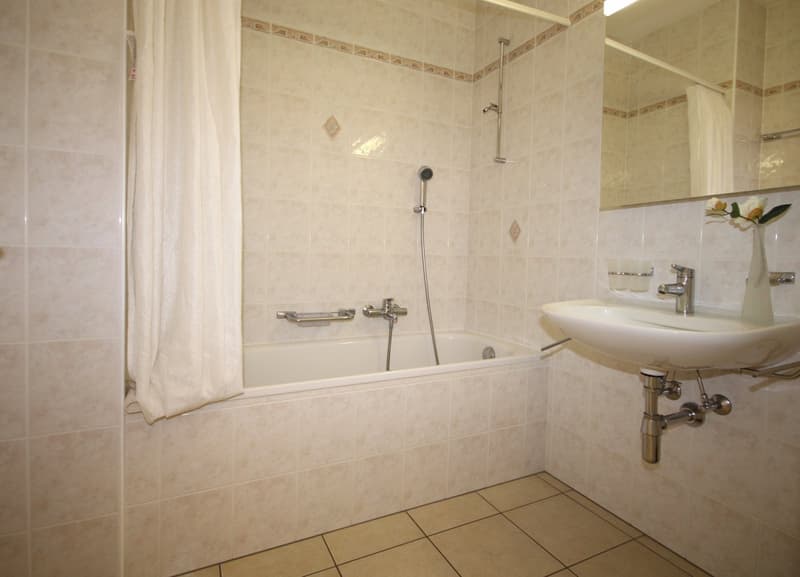 Bathroom with bathtub, shower, sink, mirror, and flower vase
