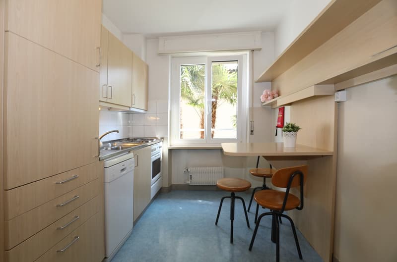 4.5-room apartment with large balcony and garage (11)