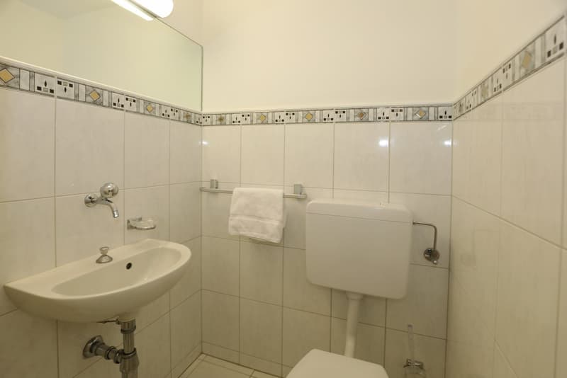 4.5-room apartment with large balcony and garage (15)