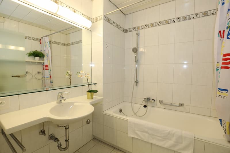 4.5-room apartment with large balcony and garage (14)