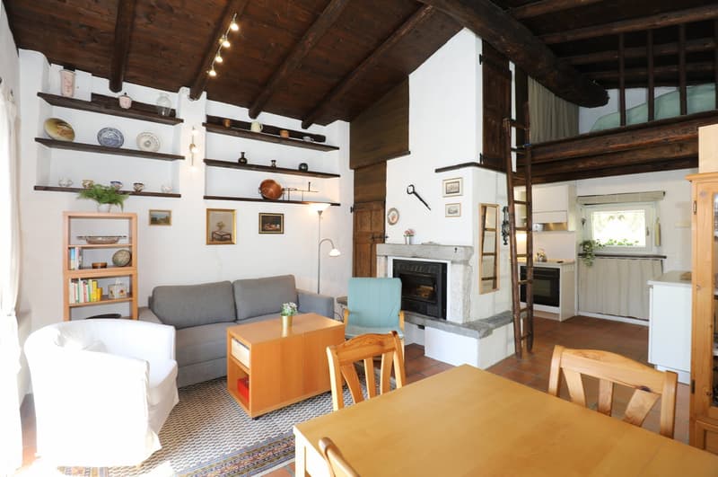 Beautiful Rustico with all comforts and garden in Lugano Bogno (8)