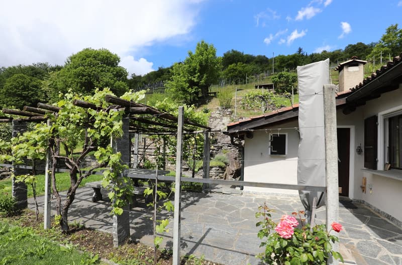 Joli Rustico dans un endroit calme et beau vignoble à Medeglia (3)