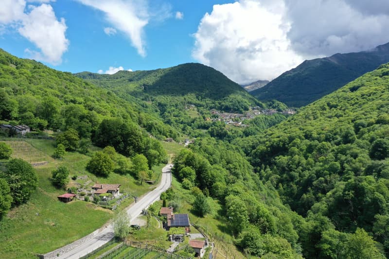 Joli Rustico dans un endroit calme et beau vignoble à Medeglia (16)