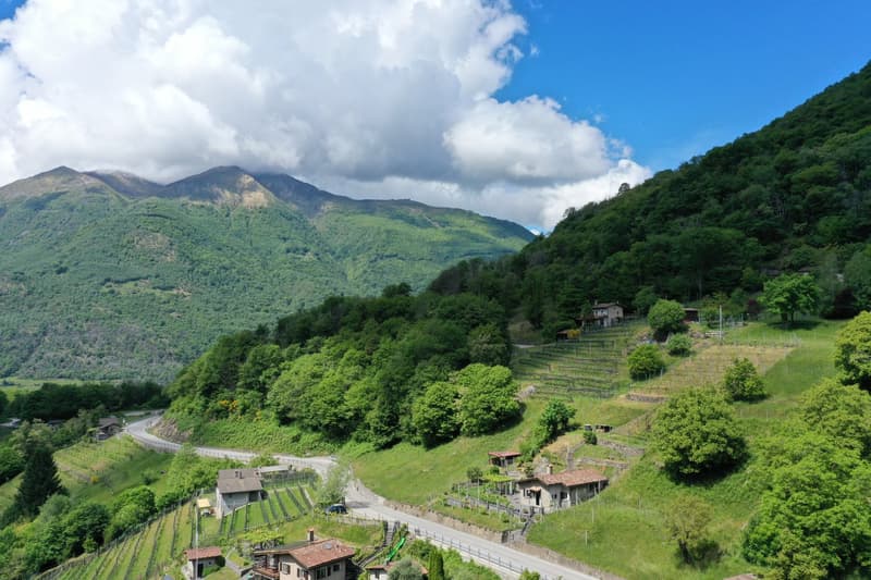 Joli Rustico dans un endroit calme et beau vignoble à Medeglia (2)